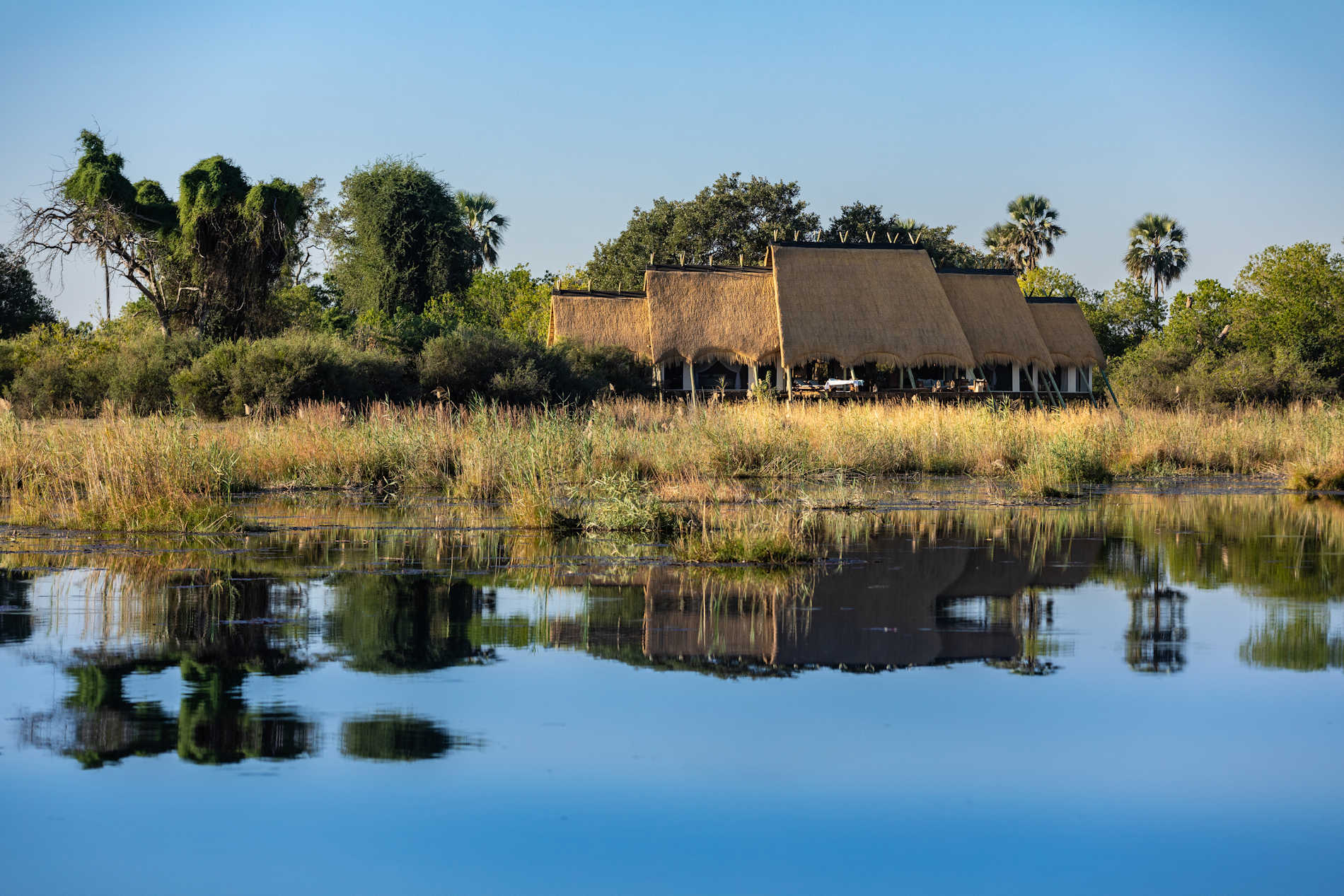 Botswana Safari mit Cobra Verde, Selinda Suite Linyanti