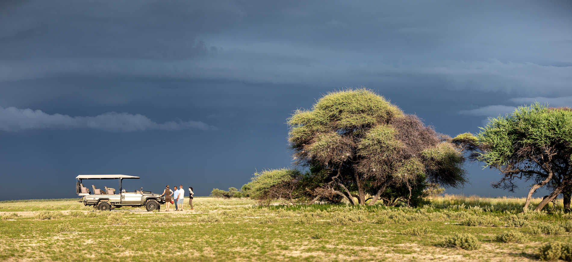 Lance Van De Vyver Kalahari Plains 42