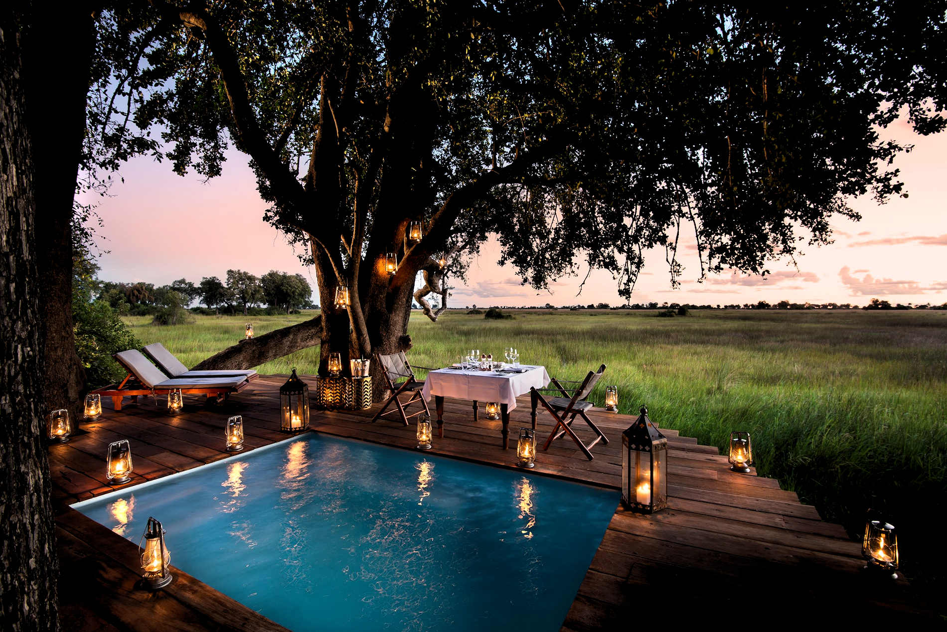 Okavango Safari, Duba Plains Camp Botswana, Cobra Verde Afrikareisen