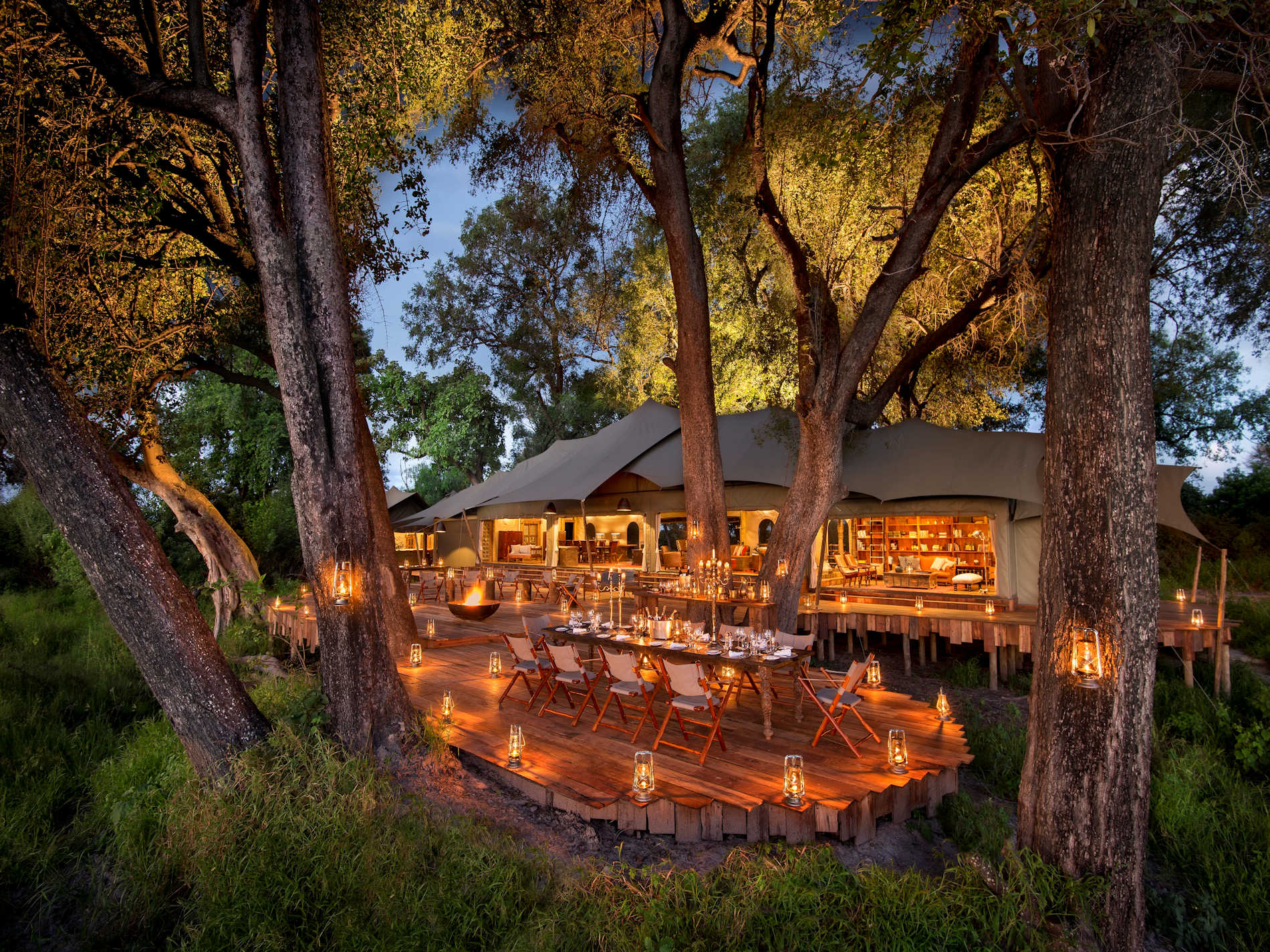 Okavango Safari, Duba Plains Camp Botswana, Cobra Verde Afrikareisen