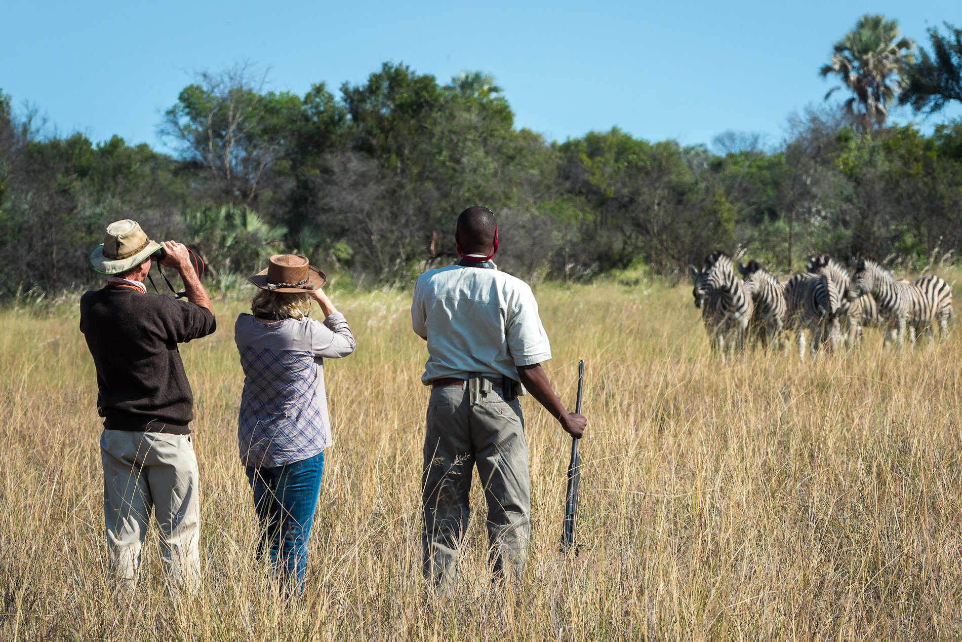 Jao Camp Wilderness Safaris (29)
