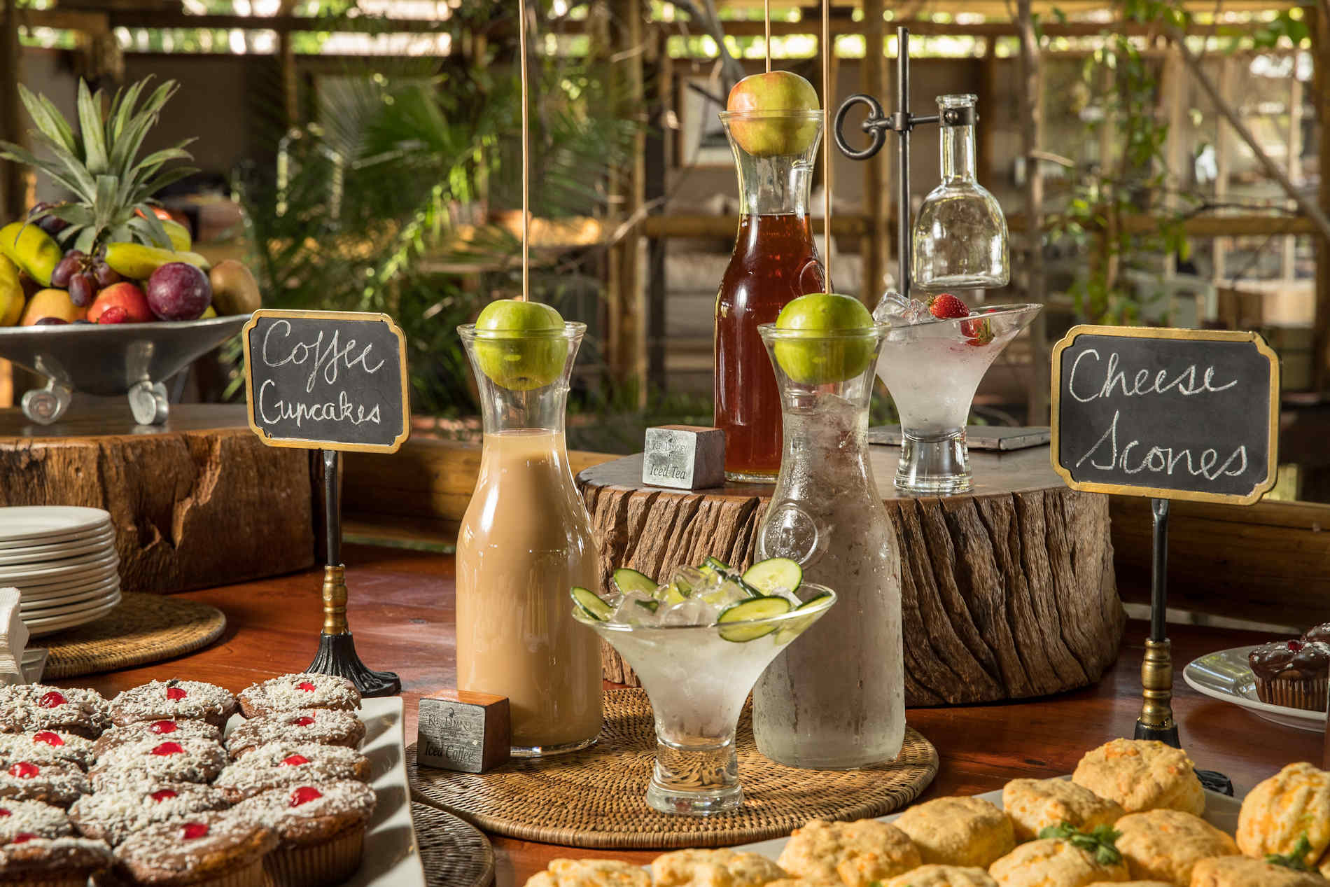 Kanana Camp, Okavango, Botswana Safari, Cobra Verde Afrikareisen