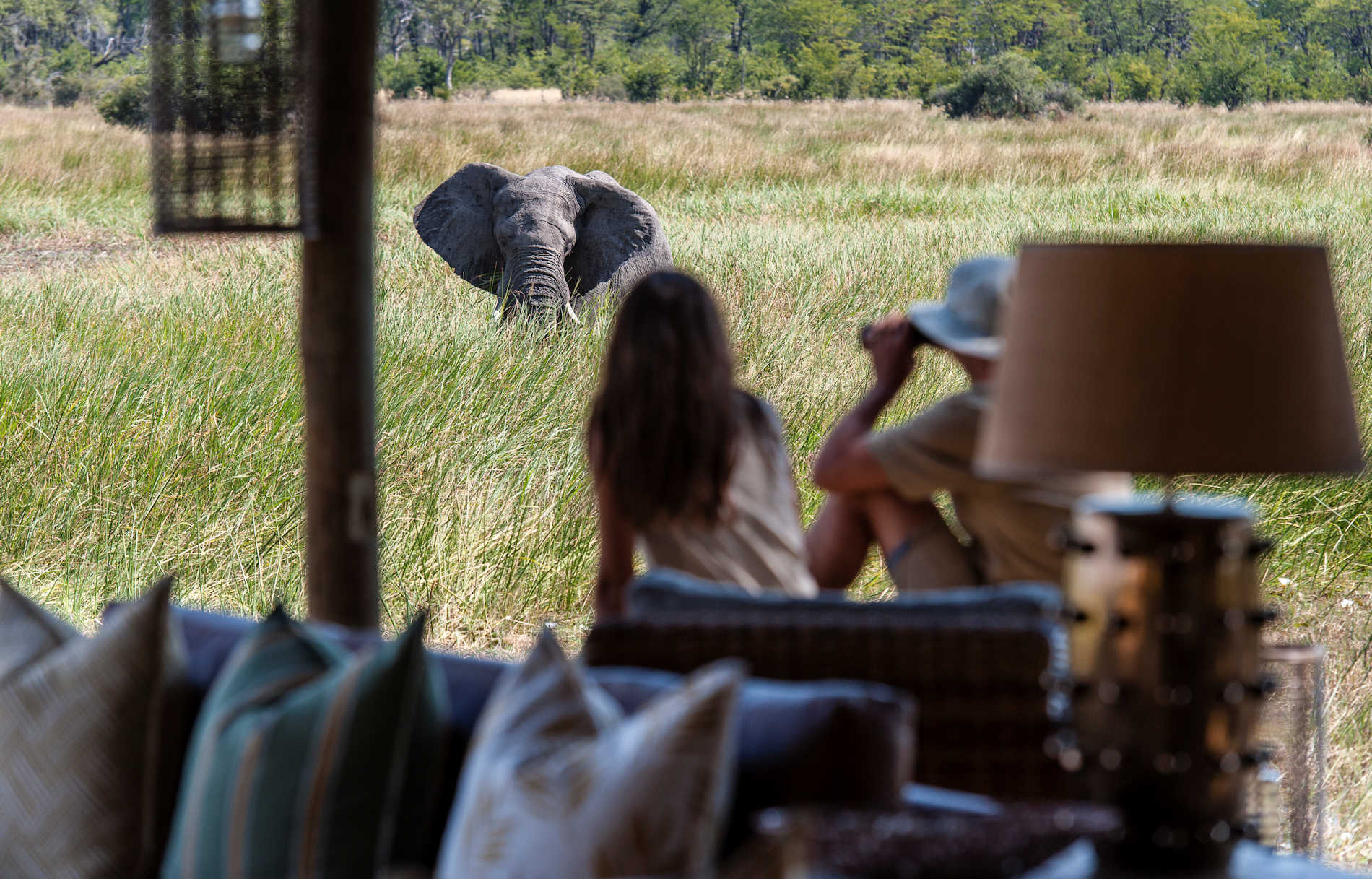 Sable Alley Safari Lodge, Botswana