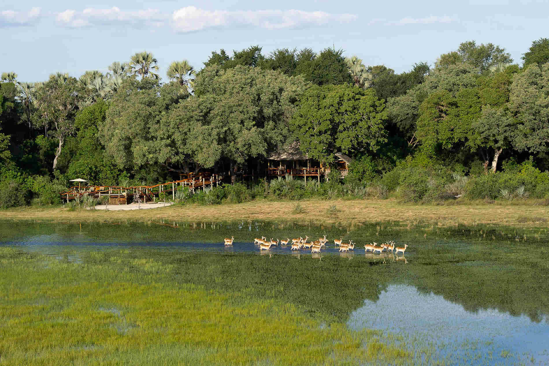 Tubu Tree Camp WildernessSafaris01