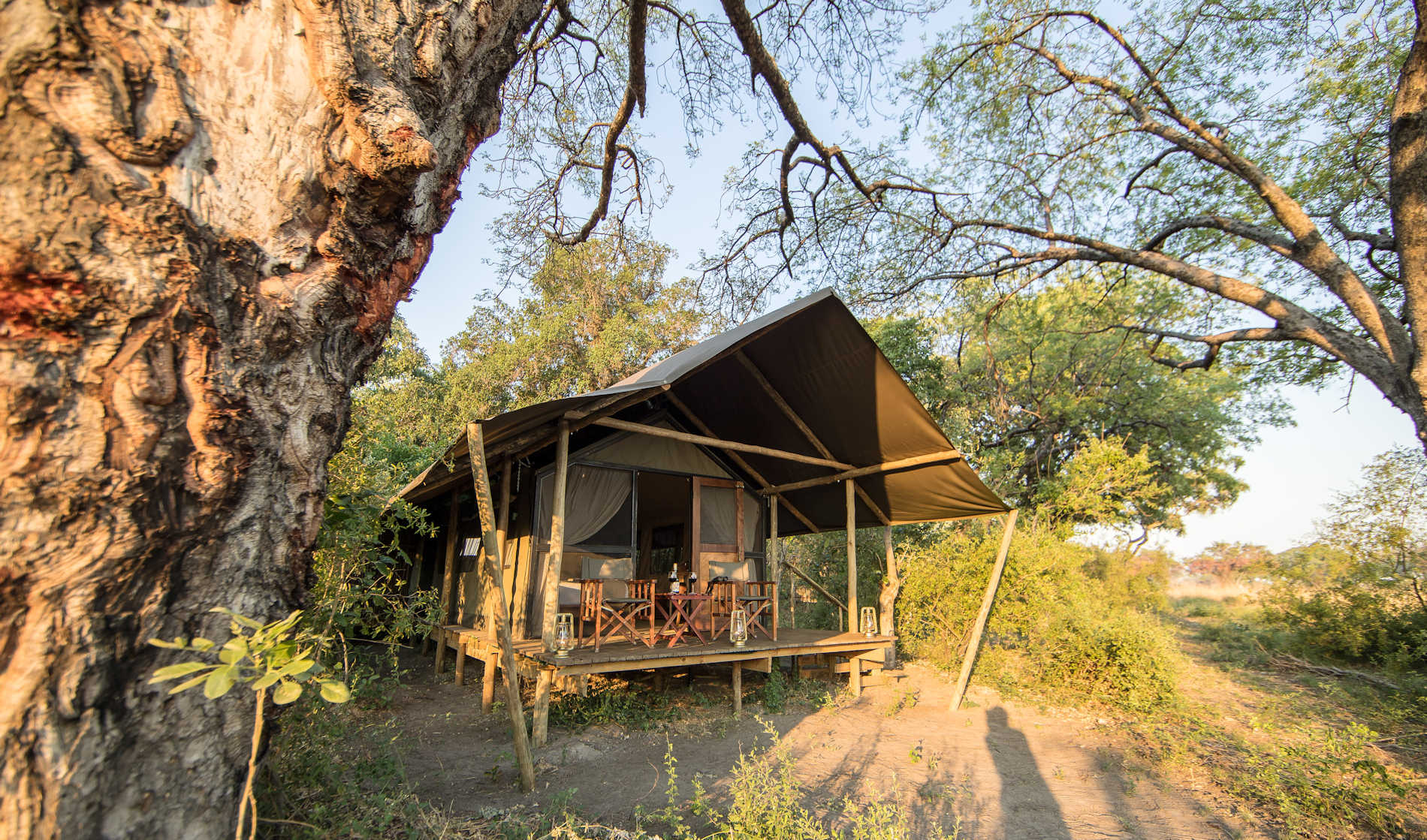Kadizora Camp, Okavango, Botswana Safari, Cobra Verde Afrikareisen