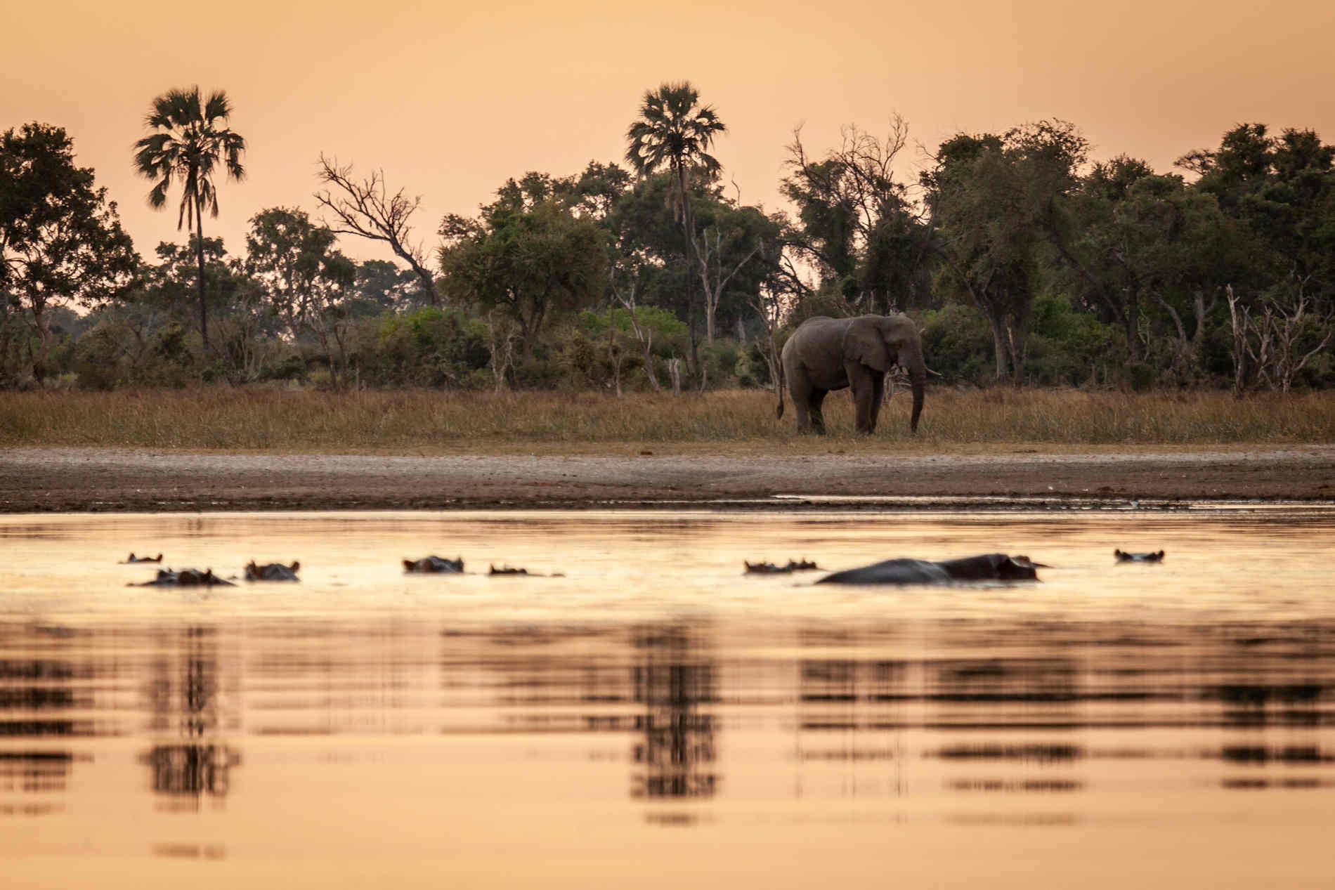 Kiri Camp Okavango, Botswana, Cobra Verde Afrikareisen