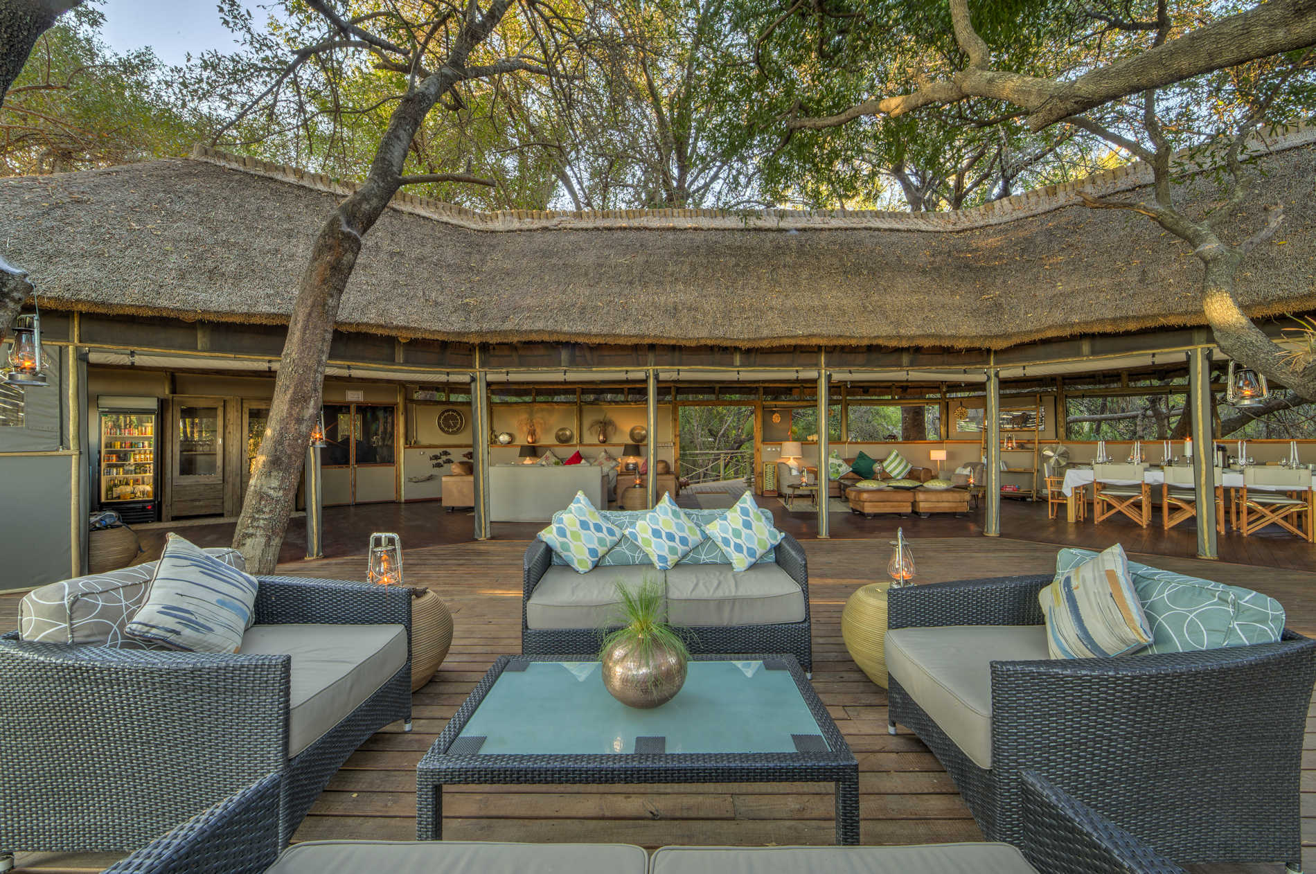 Seba Camp, Botswana Safari Reisen, Cobra Verde