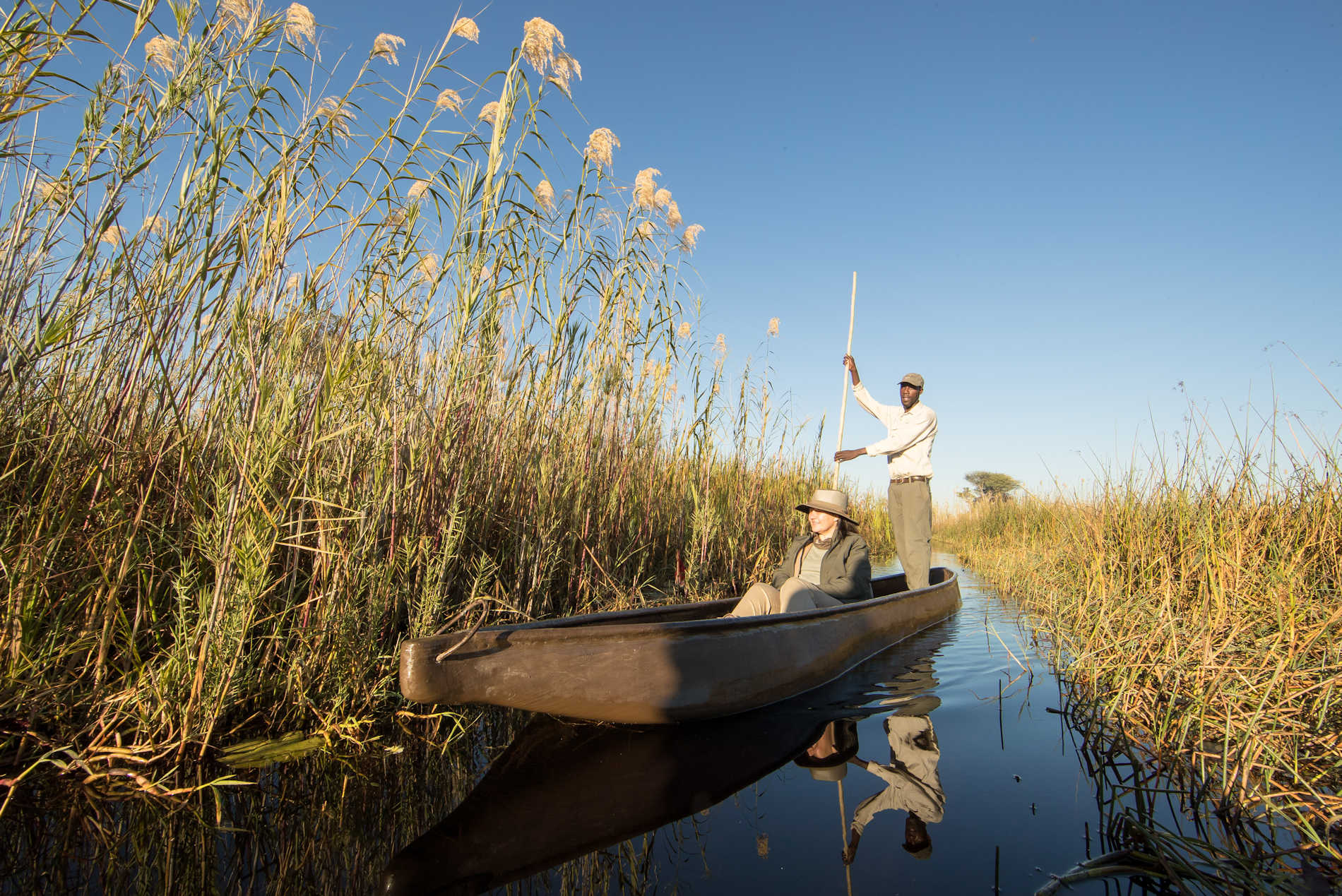 Seba Camp, Botswana Safari Reisen, Cobra Verde