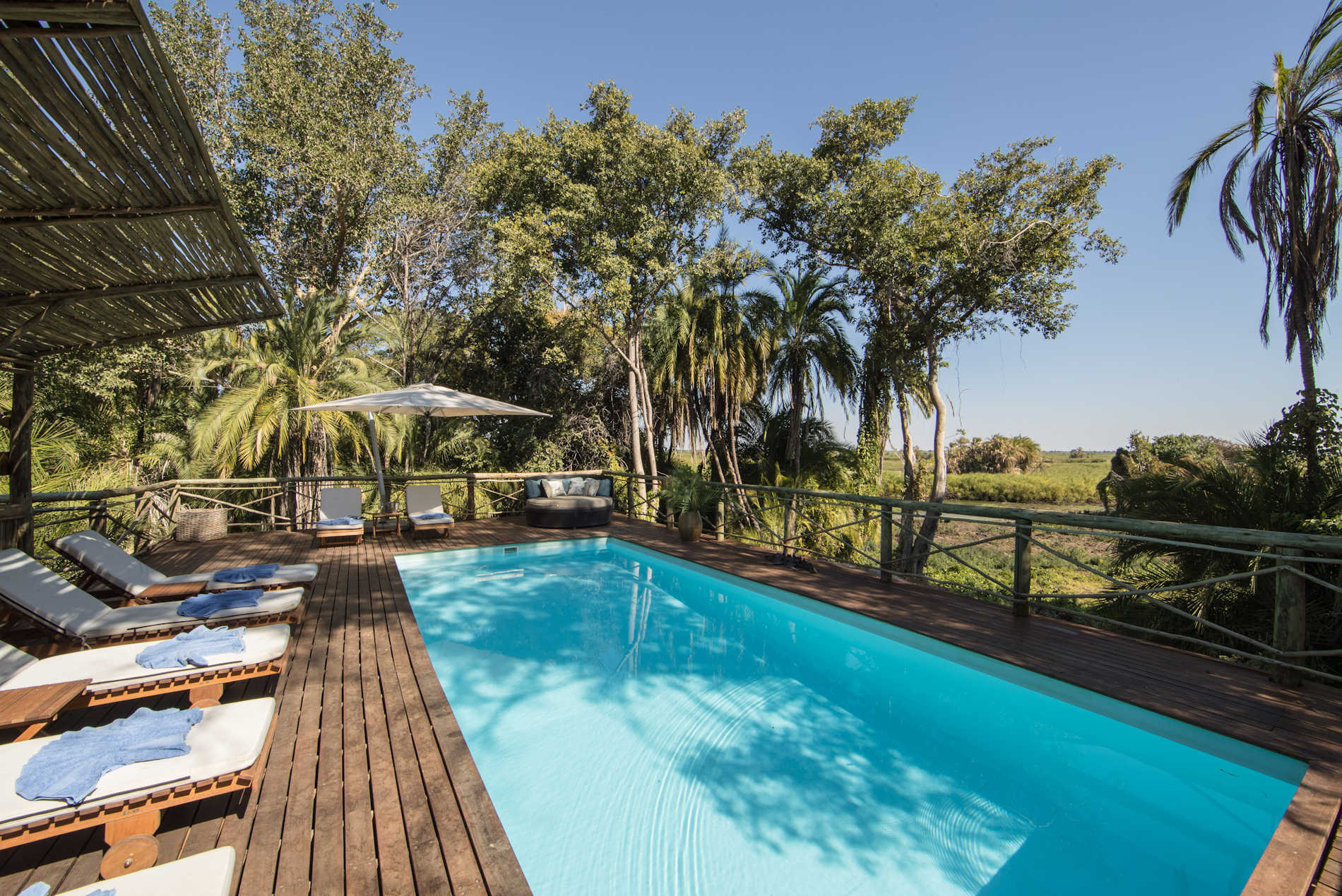 Seba Camp, Botswana Safari Reisen, Cobra Verde